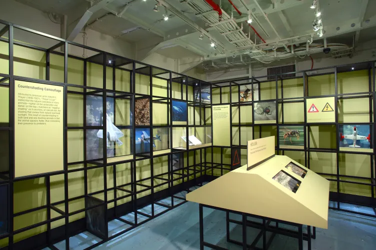 Part of an exhibition with wall panels about countershading camouflage.