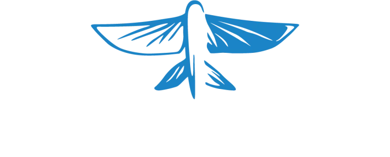 flying fish logo
